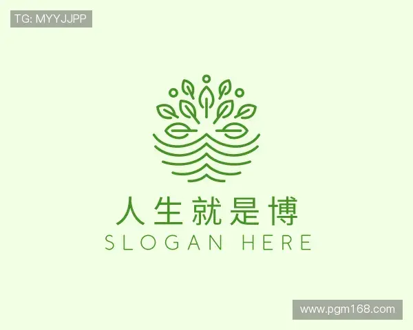 介绍人生就是博